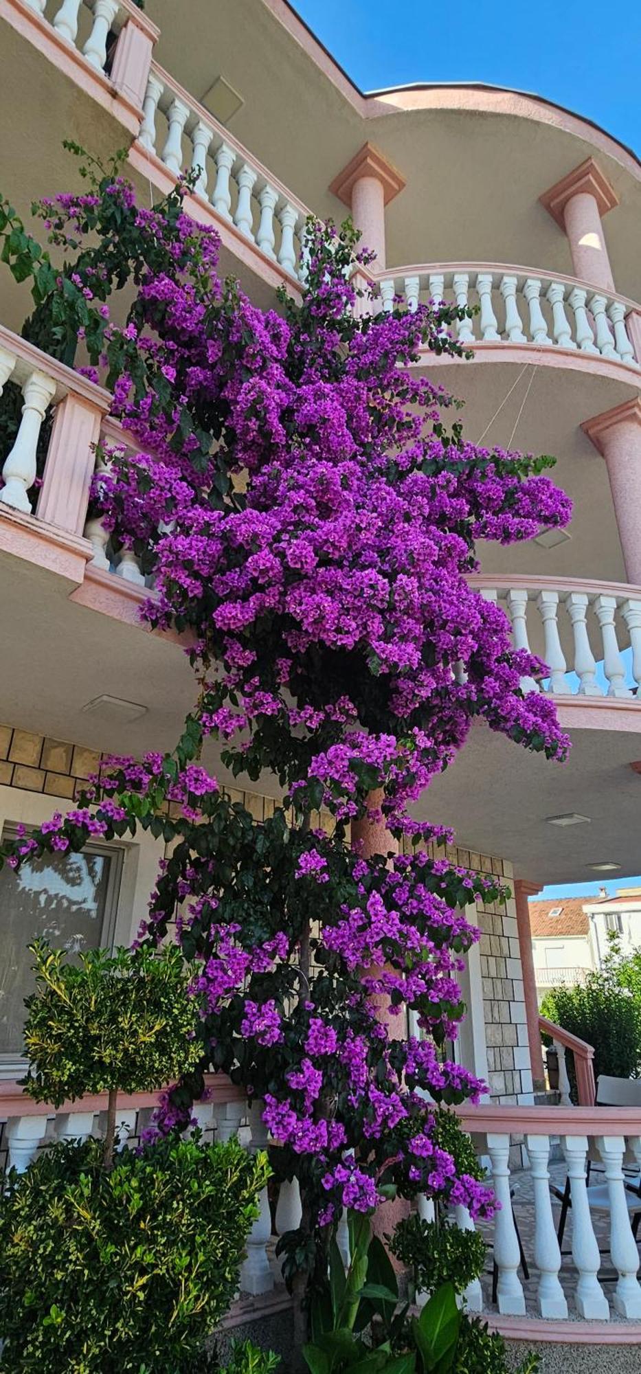 Kurt Apartaments Ulcinj Extérieur photo
